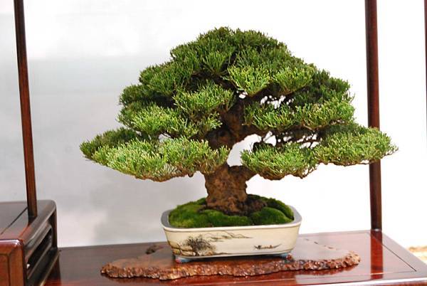 DSC_2702.jpg DSC_2702.jpg