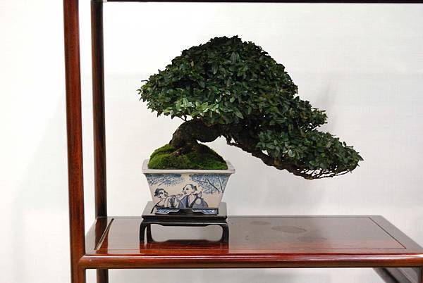 DSC_2701.jpg DSC_2701.jpg