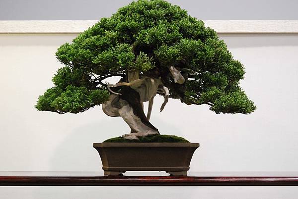 DSC_2704.jpg DSC_2704.jpg