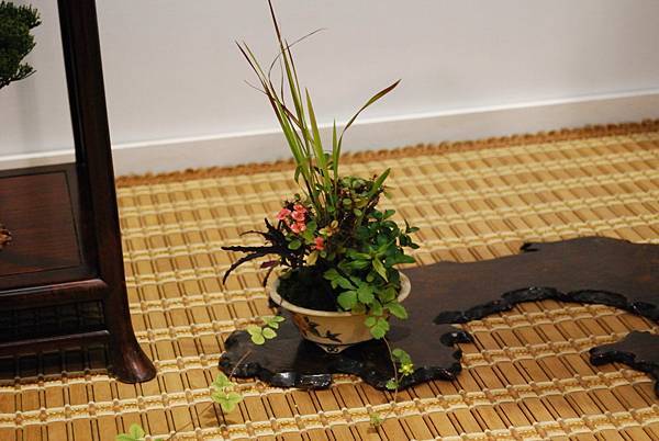 DSC_2706.jpg DSC_2706.jpg