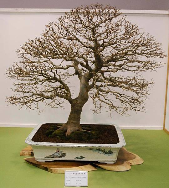 DSC_2710.jpg DSC_2710.jpg