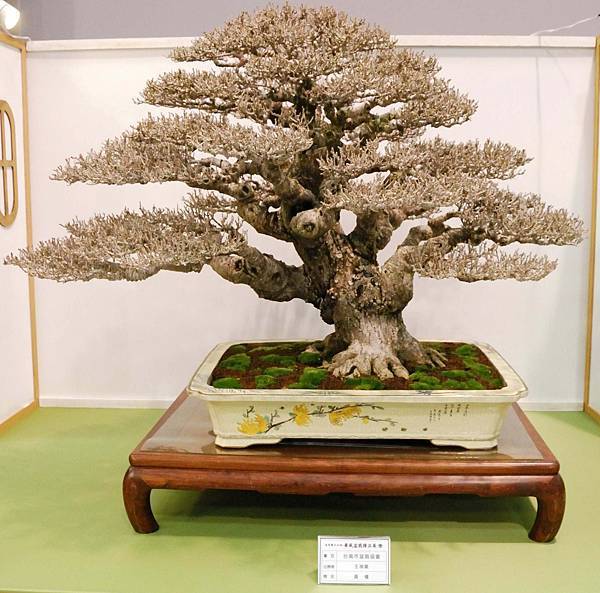 DSC_2711.jpg DSC_2711.jpg