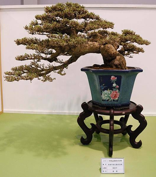 DSC_2715.jpg DSC_2715.jpg