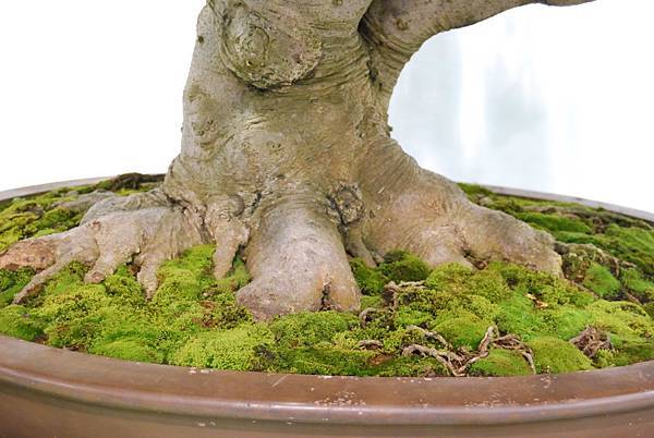 DSC_2719.jpg DSC_2719.jpg