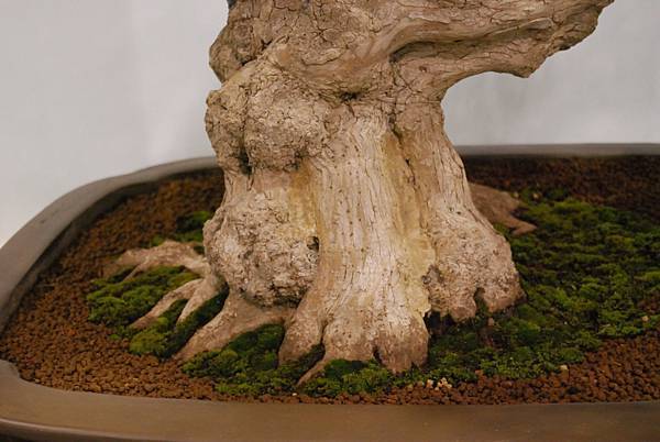 DSC_2725.jpg DSC_2725.jpg