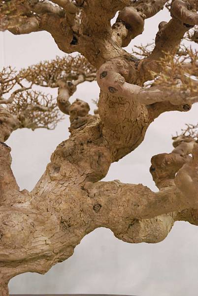 DSC_2727.jpg DSC_2727.jpg