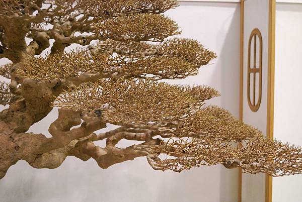 DSC_2731.jpg DSC_2731.jpg