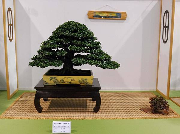 DSC_2733.jpg DSC_2733.jpg