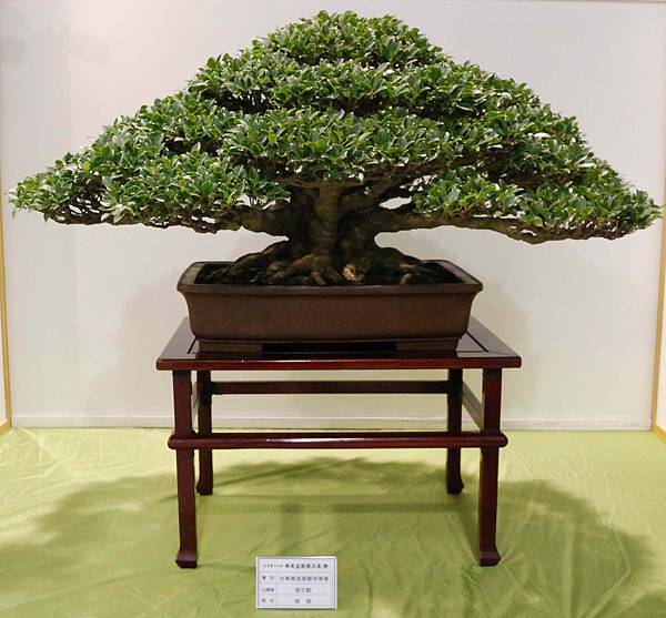 DSC_2735.jpg DSC_2735.jpg