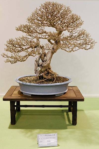 DSC_2737.jpg DSC_2737.jpg