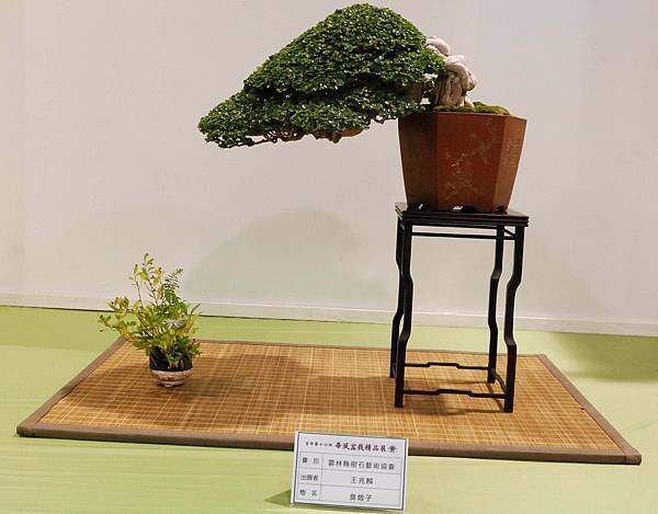 DSC_2739.jpg DSC_2739.jpg