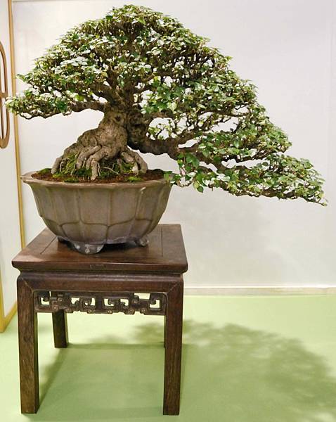 DSC_2743.jpg DSC_2743.jpg