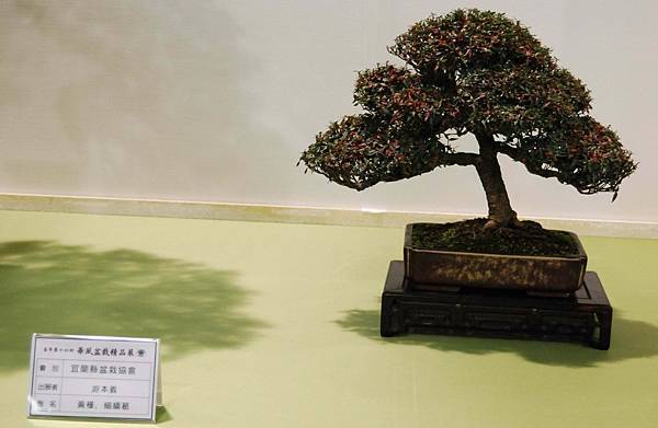 DSC_2741.jpg DSC_2741.jpg