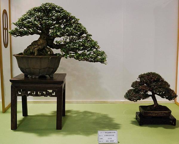 DSC_2742.jpg DSC_2742.jpg