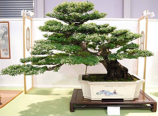 DSC_2745.jpg DSC_2745.jpg