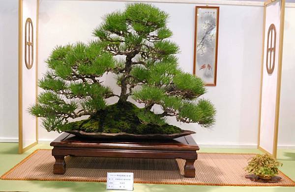 DSC_2746.jpg DSC_2746.jpg