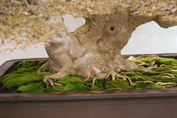 DSC_2750.jpg DSC_2750.jpg