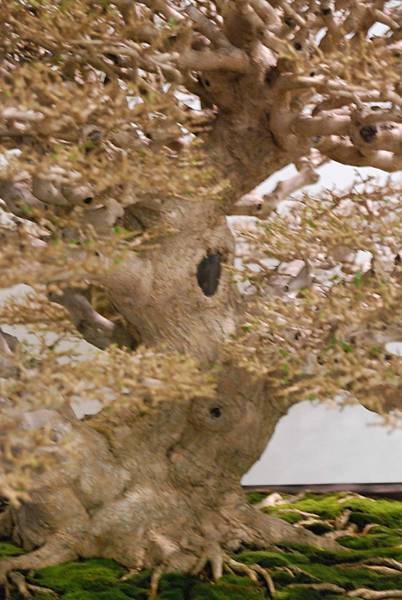 DSC_2751.jpg DSC_2751.jpg