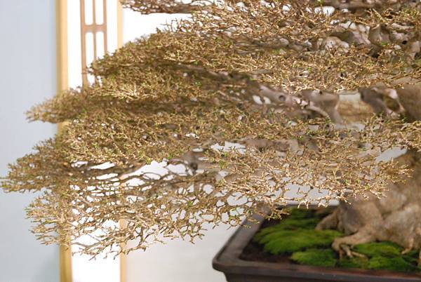 DSC_2752.jpg DSC_2752.jpg