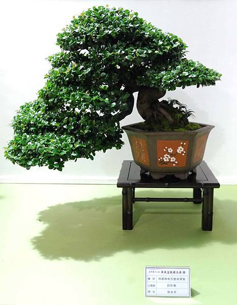 DSC_2756.jpg DSC_2756.jpg