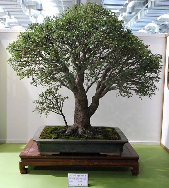 DSC_2758.jpg DSC_2758.jpg