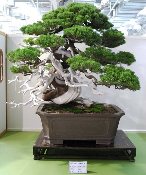 DSC_2757.jpg DSC_2757.jpg