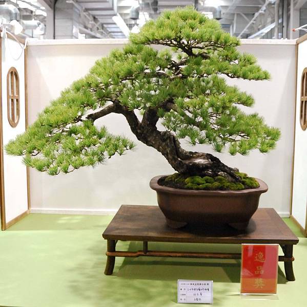 DSC_2760.jpg DSC_2760.jpg