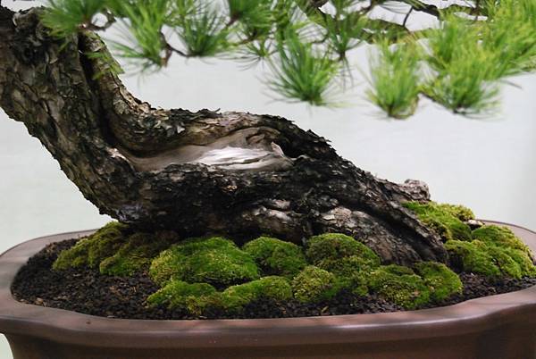 DSC_2761.jpg DSC_2761.jpg