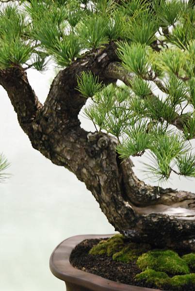 DSC_2762.jpg DSC_2762.jpg