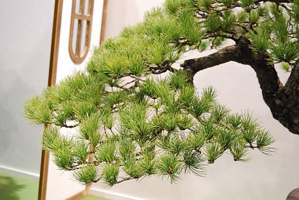 DSC_2764.jpg DSC_2764.jpg