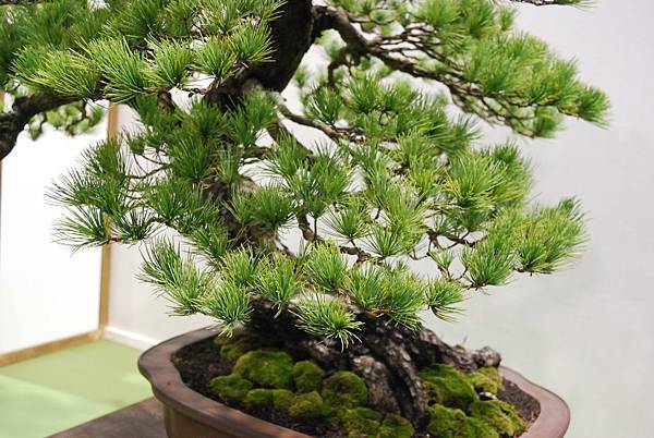 DSC_2766.jpg DSC_2766.jpg