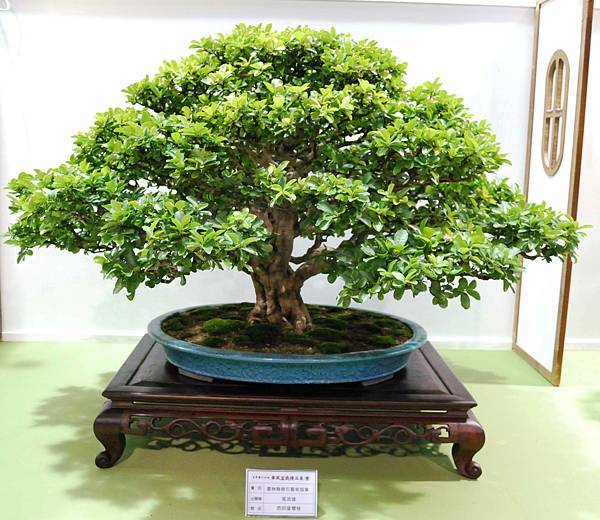 DSC_2767.jpg DSC_2767.jpg