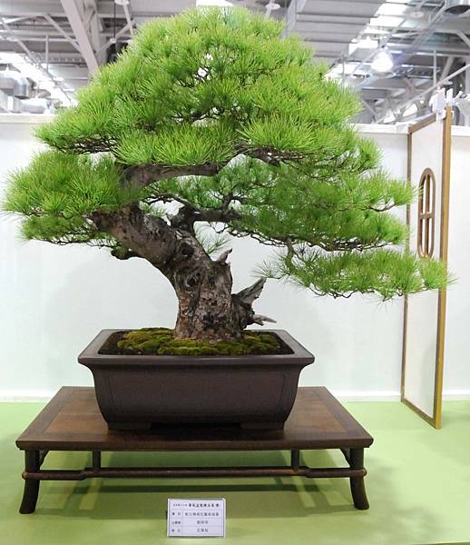 DSC_2769.jpg DSC_2769.jpg