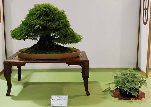 DSC_2776.jpg DSC_2776.jpg