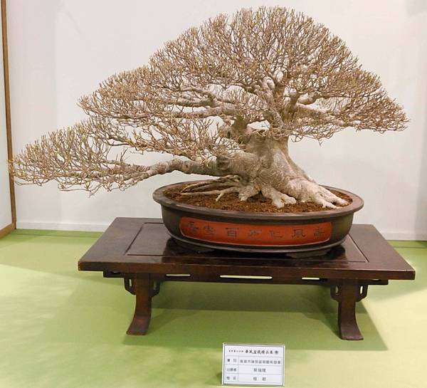 DSC_2775.jpg DSC_2775.jpg