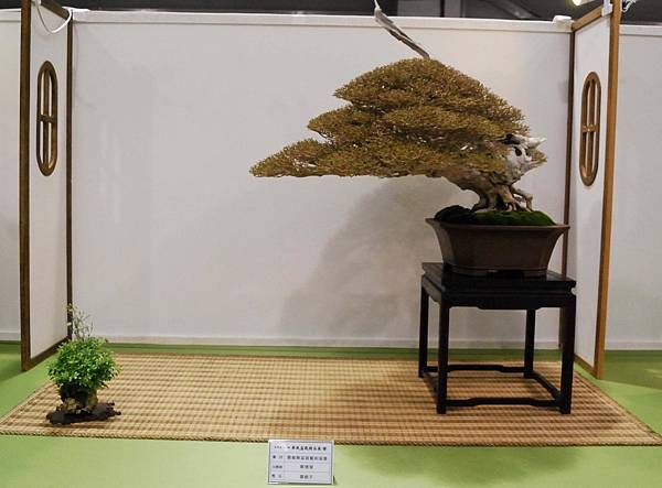 DSC_2777.jpg DSC_2777.jpg