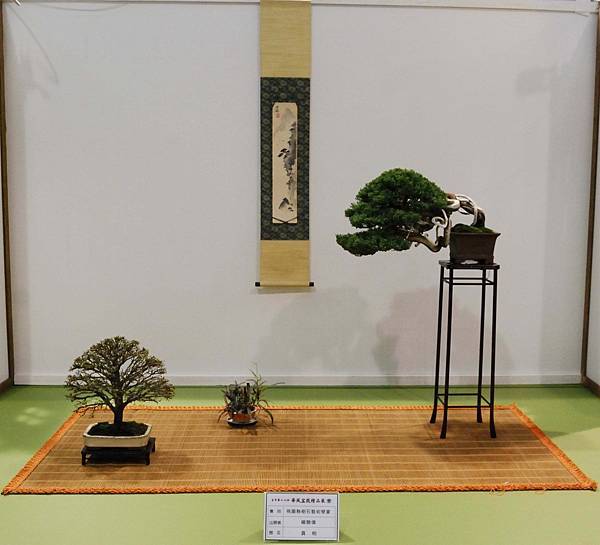 DSC_2780.jpg DSC_2780.jpg