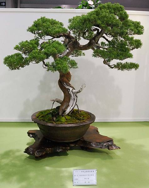 DSC_2781.jpg DSC_2781.jpg