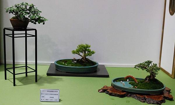 DSC_2787.jpg DSC_2787.jpg