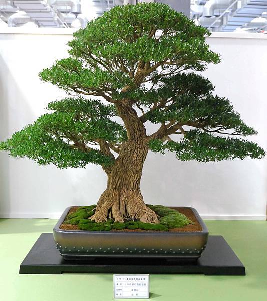 DSC_2786.jpg DSC_2786.jpg