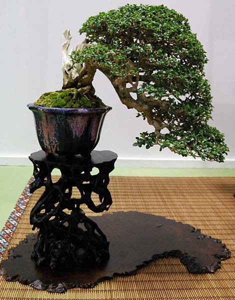 DSC_2788.jpg DSC_2788.jpg