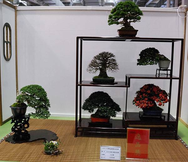 DSC_2790.jpg DSC_2790.jpg