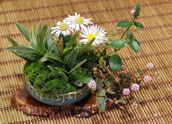 DSC_2789.jpg DSC_2789.jpg