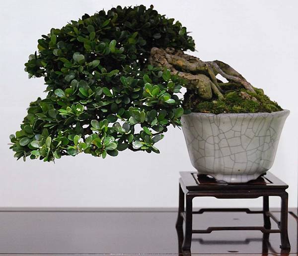 DSC_2793.jpg DSC_2793.jpg