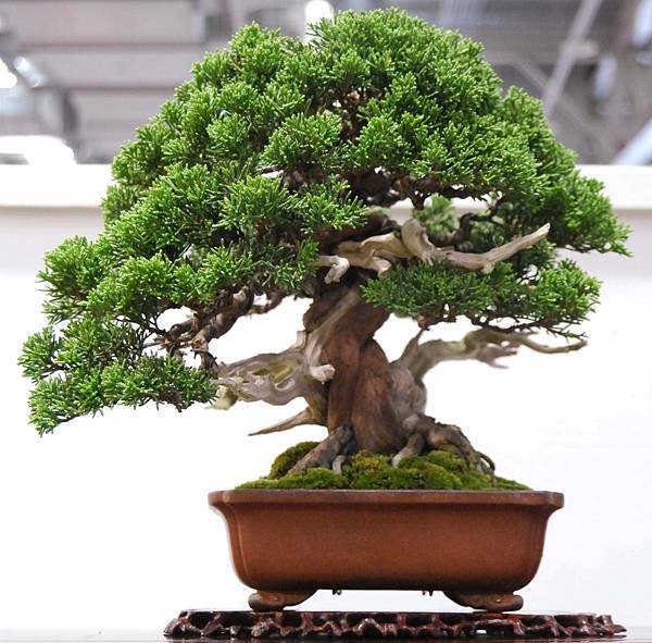 DSC_2791.jpg DSC_2791.jpg