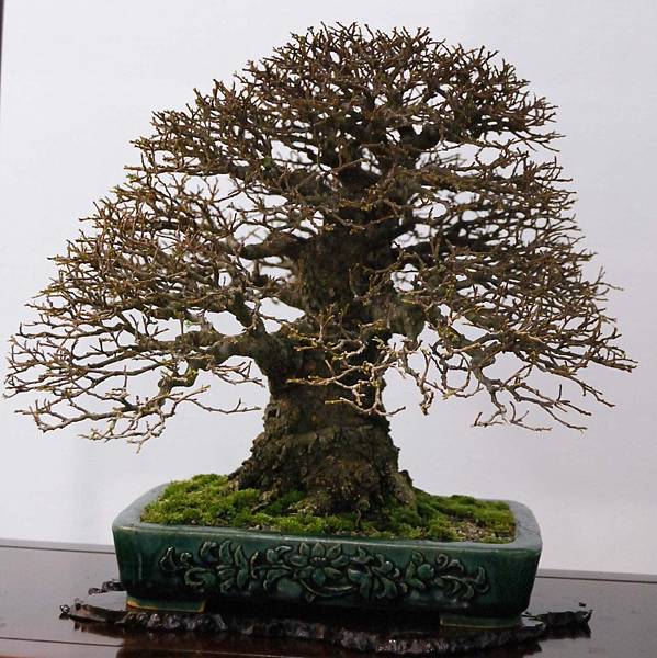 DSC_2792.jpg DSC_2792.jpg