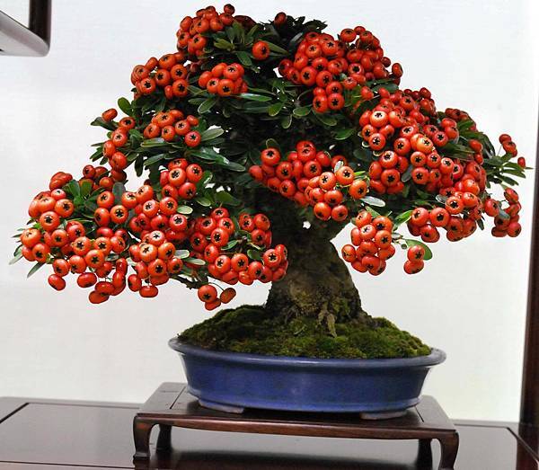 DSC_2794.jpg DSC_2794.jpg