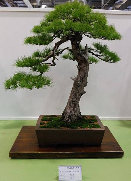 DSC_2796.jpg DSC_2796.jpg