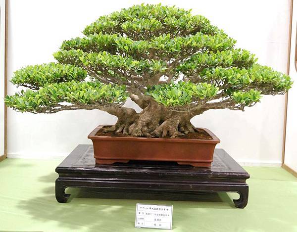 DSC_2797.jpg DSC_2797.jpg