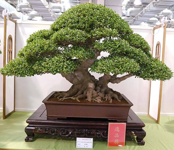 DSC_2800.jpg DSC_2800.jpg